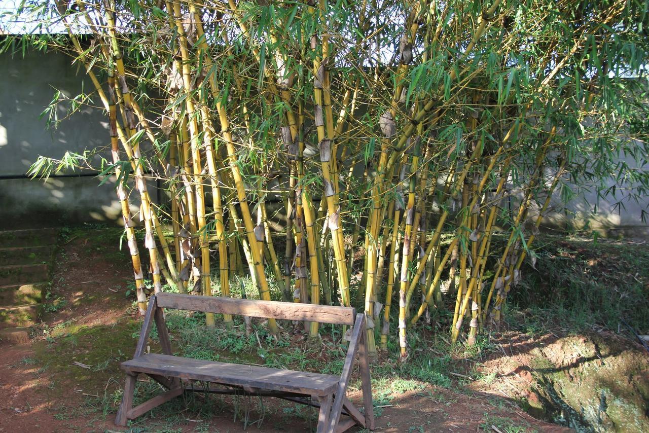 Banda Lodge Masaka Bagian luar foto